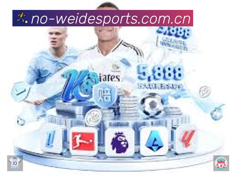 韦德体育App 观赛体验预览